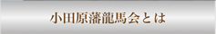 小田原藩龍馬会とは